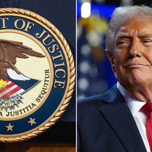 Trump administration fires more than a dozen immigration judges