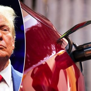 Trump’s cut to Biden’s EV tax credit, backed by Musk, may impact auto industry, experts say