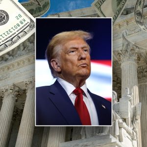 What’s the point of all these anti-DOGE lawsuits? Fight Trump’s agenda to SCOTUS, legal experts say
