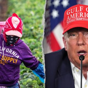Trump ‘working on’ deportation exemptions for illegal farm and hospitality workers
