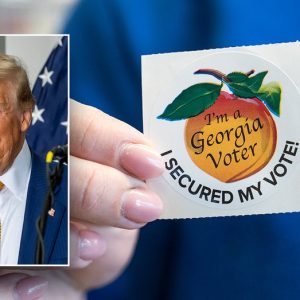 Georgia’s nearly 4 million early votes bode well for Trump, top state Republican says