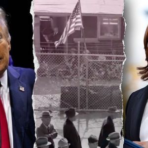 Harris ad suggests Trump will send Asians back to interment camps