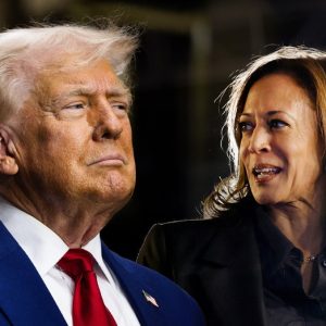 Trump gives Harris advice on potential CA governor run