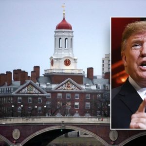 Federal judge blocks Trump administration from terminating international students’ legal status