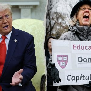 Despite Trump’s order, a surprising number of DEI programs remain ‘active’ at colleges and universities