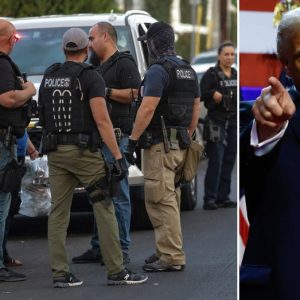 Trump DHS repeals key Mayorkas memo limiting ICE agents, orders parole review