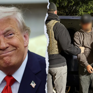 EXCLUSIVE: White House marks ‘blockbuster’ week for Trump’s immigration agenda
