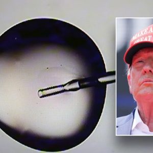 ‘Promises kept’: Trump signs executive order to ‘aggressively’ make IVF more affordable and accessible