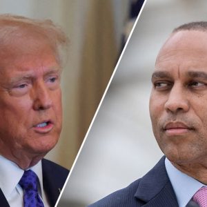 Dems dismiss calls for apology after Jeffries vows ‘fight’ against Trump agenda ‘in the streets’