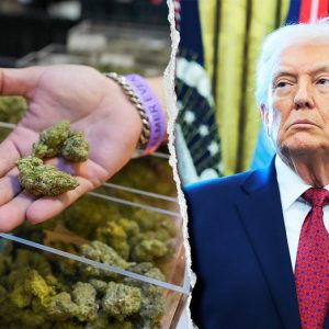 House Republicans demand Trump reverse course after ‘strongly considering’ marijuana executive order