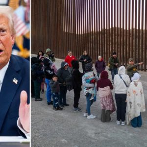 Trump flips script on reporter questioning administration’s authority to deport illegals