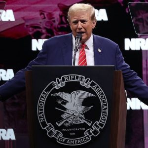Trump’s victory over Harris proves ‘Second Amendment won,’ gun rights groups say
