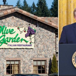 Olive Garden becomes unlikely face of voter ID fight after restaurant’s policy goes viral