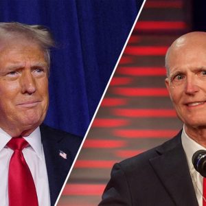 GOP senator reveals strategy to push Trump’s policies through Congress: ‘I believe in the agenda’