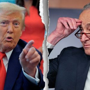 Trump slams Democrats for ‘shutting down’ government, demands it reopen ‘tonight’