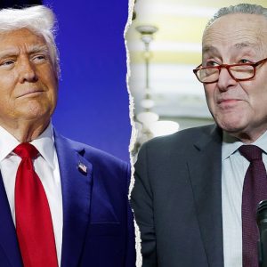 Schumer knocks Trump on Iran, plan to send ICE to airports: ‘Asking for trouble’
