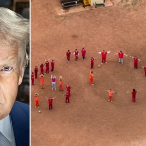 Trump DHS slams more ‘sob story’ reporting after Tren de Aragua gang members send SOS signal