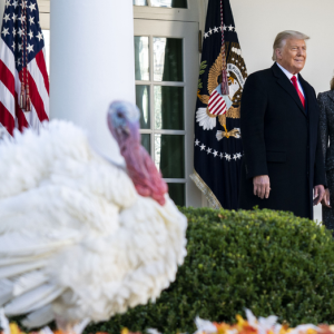 Shifting Thanksgiving traditions reflect broader political, economic and cultural divides