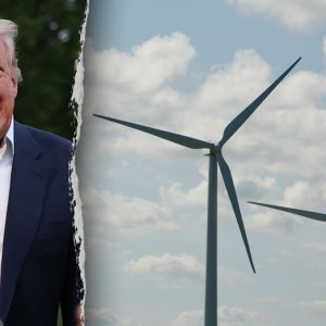 White House rips blue state Dems using ‘lawfare’ to protect wind industry