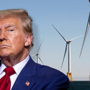 Trump eyes an end to new windmill production under second term, says they are ‘driving the whales crazy’