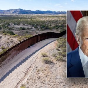 Trump’s border wall expansion moves forward in several critical areas: ‘Crisis is not yet over’