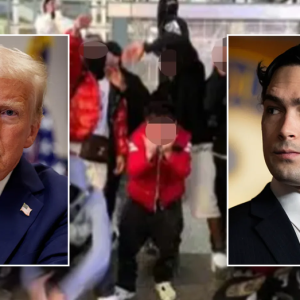 Court order halting deportation flights ‘unconstitutionally impedes’ on executive branch, Trump allies argue