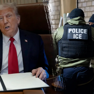 Trump admin ousts top ICE official over concerns about pace of illegal immigrant deportations