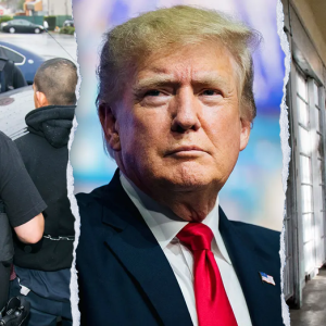 Trump admin makes aggressive move to expand illegal immigrant detention: ‘Outside the box’