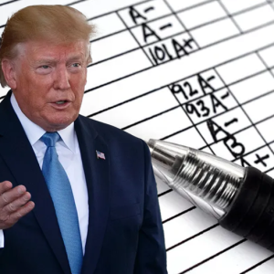 Trump report card: Conservative and liberal analysts reveal their grades for president on top issues