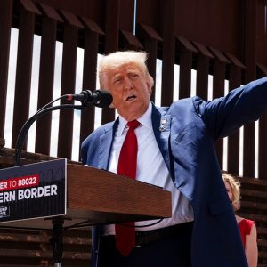 Who else could be on President-elect Trump’s immigration ‘dream team’?