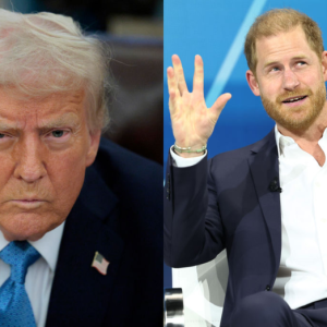 Prince Harry sees court setback on immigration records case in first hearing since Trump took office