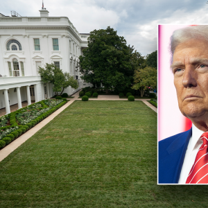 Trump to deliver ‘Liberation Day’ announcement from Rose Garden flanked by Cabinet members