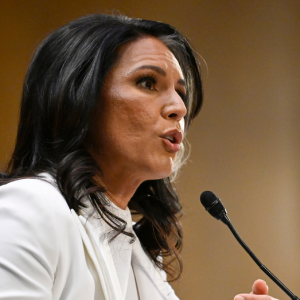 DNI Gabbard refers intel officials to DOJ for prosecution over alleged leaks of classified information