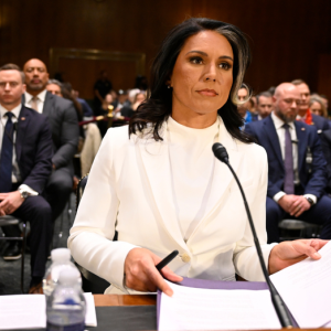Trump nominee Tulsi Gabbard clears last hurdle, heads for final confirmation vote
