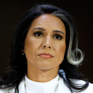 Top Senate Intelligence Dem grills Gabbard if Edward Snowden is ‘brave’: ‘Very troubling’