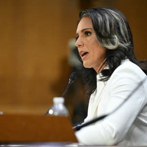 Gabbard sheds light on Assad visit, expresses shock intelligence community showed no interest at the time