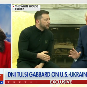 DNI Gabbard sounds off on Europe’s ‘divergence’ from U.S. values after tense Trump-Zelenskyy meeting
