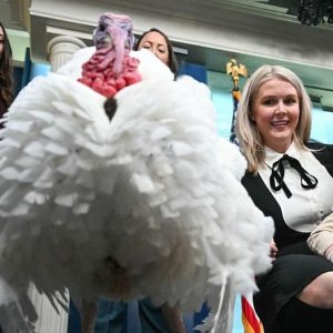 ‘Waddle’ the turkey faces press questions in White House briefing room ahead of presidential pardon