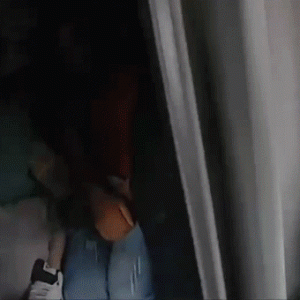 Chaotic border chase ends with illegal immigrants found crammed in semitruck sleeping area