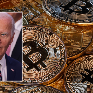 Biden admin’s cold-shoulder approach to crypto concerns industry leaders: ‘Needs to be looked at’