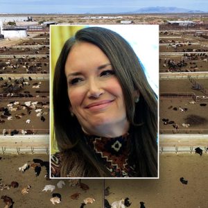 USDA threatens to halt Mexican beef imports over flesh-eating fly crisis