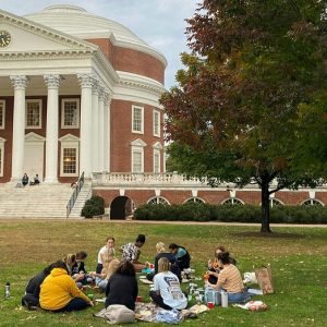 University of Virginia to remove its DEI office: ‘Voted for commonsense’