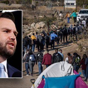 Immigration hawks delighted at Trump pick JD Vance: ‘One hell of a co-pilot’