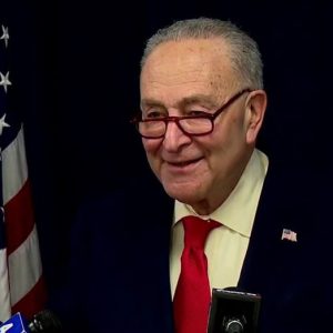Schumer mocked for Corona and guac clip warning Trump tariffs will hurt Super Bowl parties: ‘Not good at this’