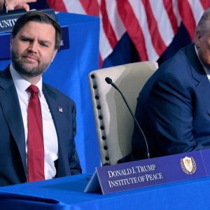 Vance tapped as ‘fraud czar’ as Trump targets blue states over taxpayer theft