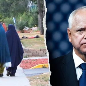 Expert reveals key factor that led to massive Minnesota fraud scheme