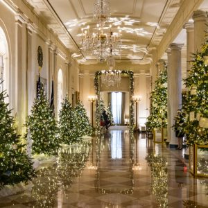 The history of White House Christmas trees, including Theodore Roosevelt’s ‘ban’ of the holiday tradition