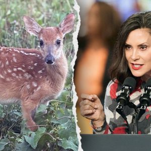 Blue state bureaucracy orders euthanasia of rescued fawn, sparking bipartisan outrage