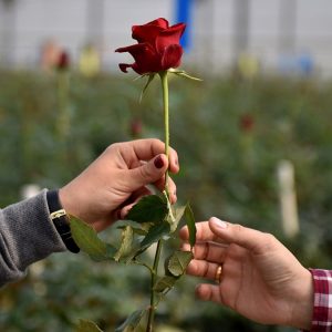 Fox News Poll: Beyond red vs. blue, finding me + you across the political divide