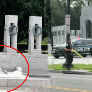 World War II Memorial on National Mall vandalized with pink spray paint; fountain overflowing with bubbles